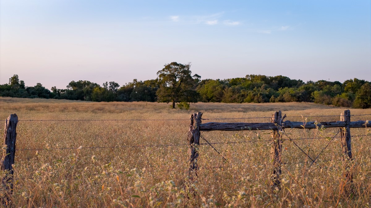 T-1 Red Hill Road Hearne, TX 77859 - Photo 12 of 25 a view of lake with trees