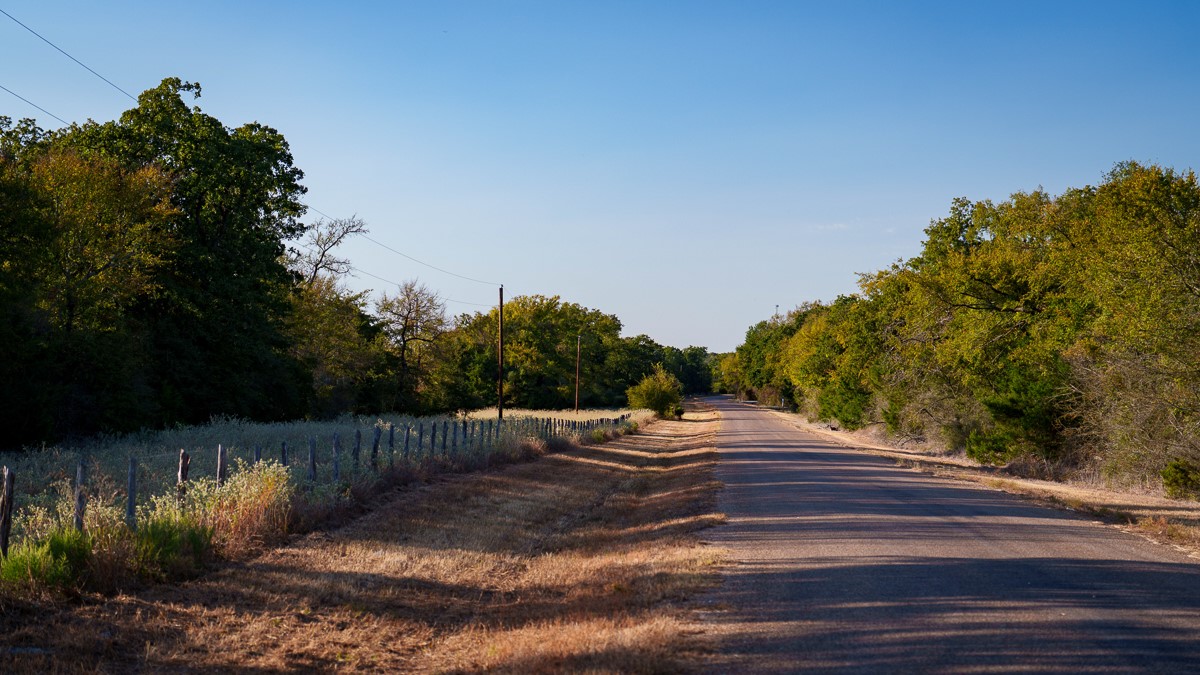 T-1 Red Hill Road Hearne, TX 77859 - Photo 24 of 25 a view of a yard with plants and trees