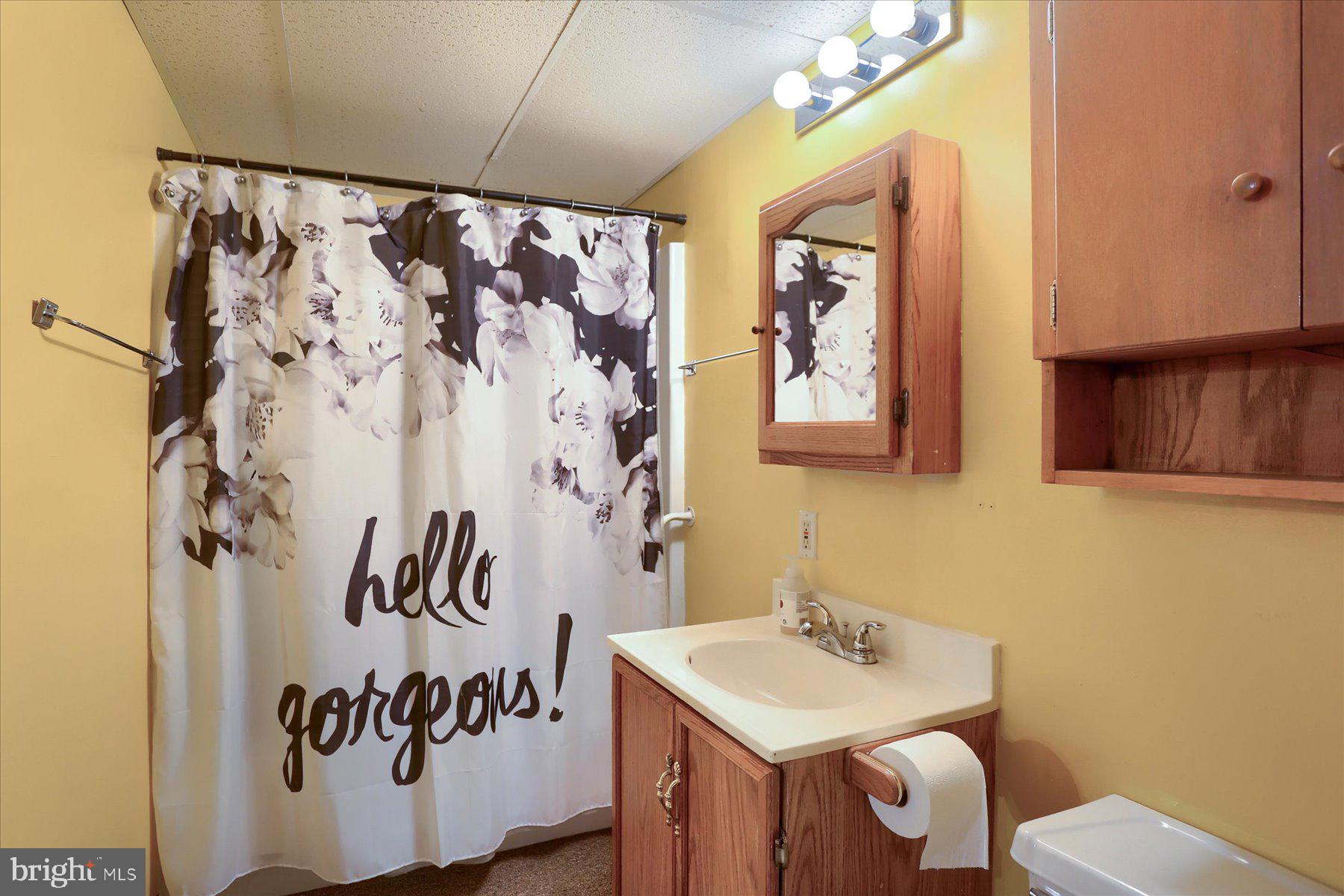 12 South Ridge Road Boiling Springs, PA 17007 - Photo 30 of 39 a bathroom with a sink and a mirror