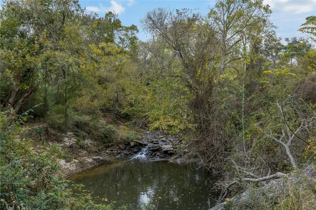a view of a forest with a lake