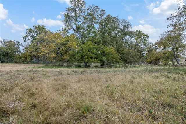 a view of a field with trees in background