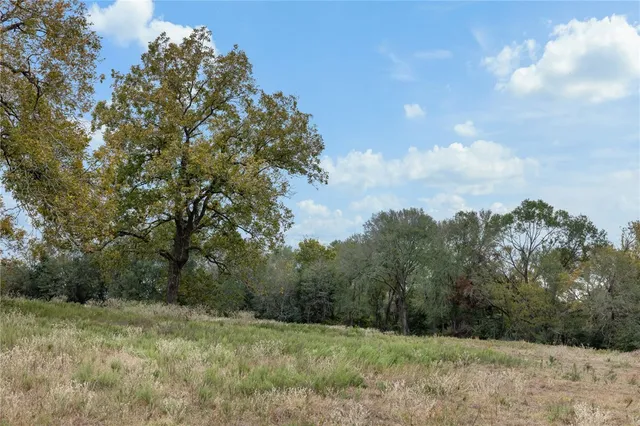 a view of a field with trees in the background