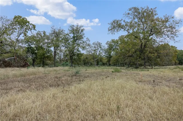 a view of a dry yard with trees
