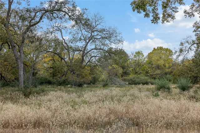 a big yard with lots of green space