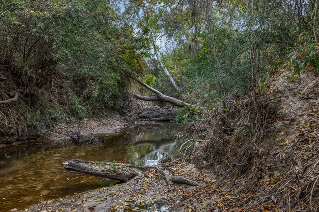 a view of a lake from a forest