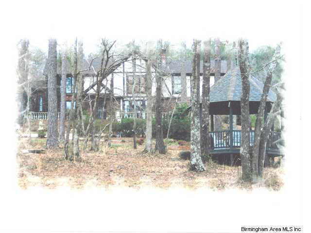 7345 Old Springville Road Pinson, AL 35126 - Photo 1 of 26