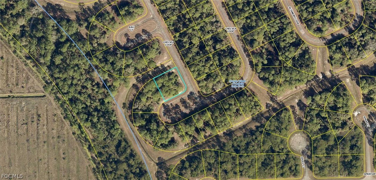 433 Chelsea Loop LaBelle, FL 33935 - Photo 2 of 4