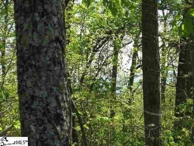 1080 Altamont Road, Unit LOT 4 Greenville, SC 29609 - Photo 1 of 14 Gallery Image 1