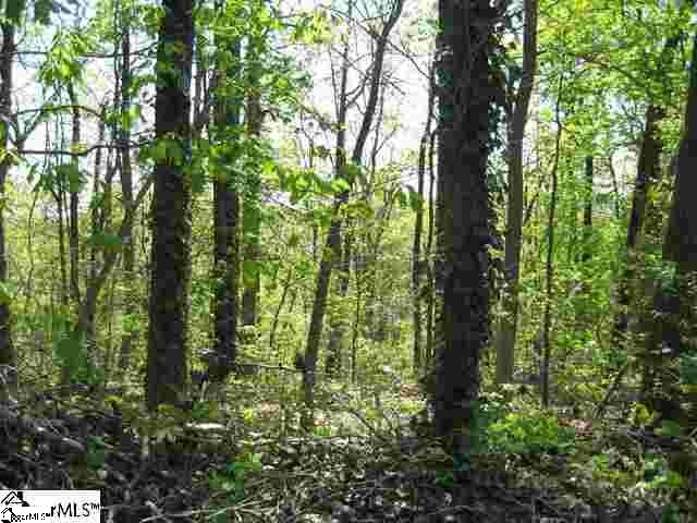 1080 Altamont Road, Unit LOT 4 Greenville, SC 29609 - Photo 2 of 14 Gallery Image 2