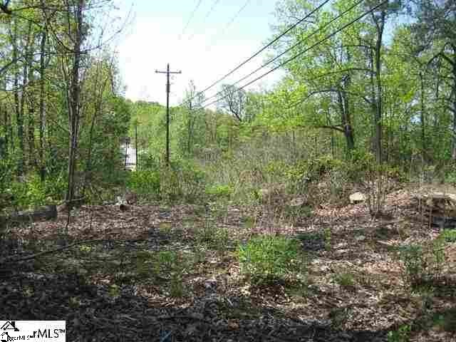 1080 Altamont Road, Unit LOT 4 Greenville, SC 29609 - Photo 11 of 14 Gallery Image 11