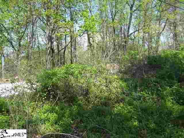1080 Altamont Road, Unit LOT 4 Greenville, SC 29609 - Photo 14 of 14 Gallery Image 14