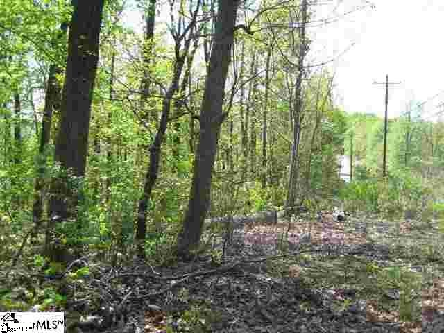 1080 Altamont Road, Unit LOT 4 Greenville, SC 29609 - Photo 10 of 14 Gallery Image 10