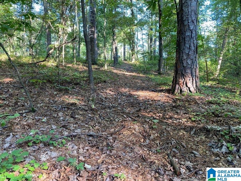 4250 Jolley Road Bessemer, AL 35022 - Photo 39 of 43