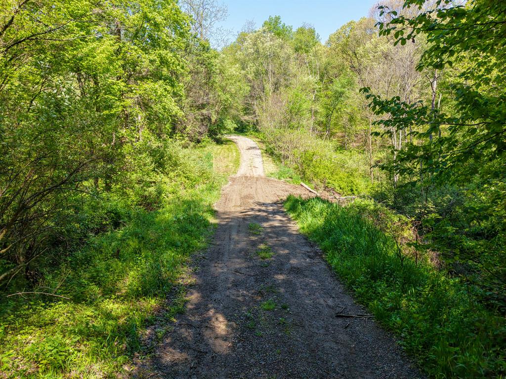 637 American School Road Harmony, PA 16037 - Photo 8 of 21