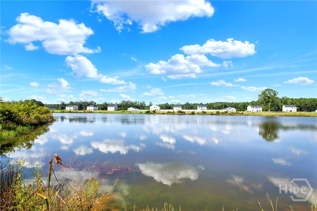 690 Wilkins Road Midway, GA 31320 - Photo 30 of 31