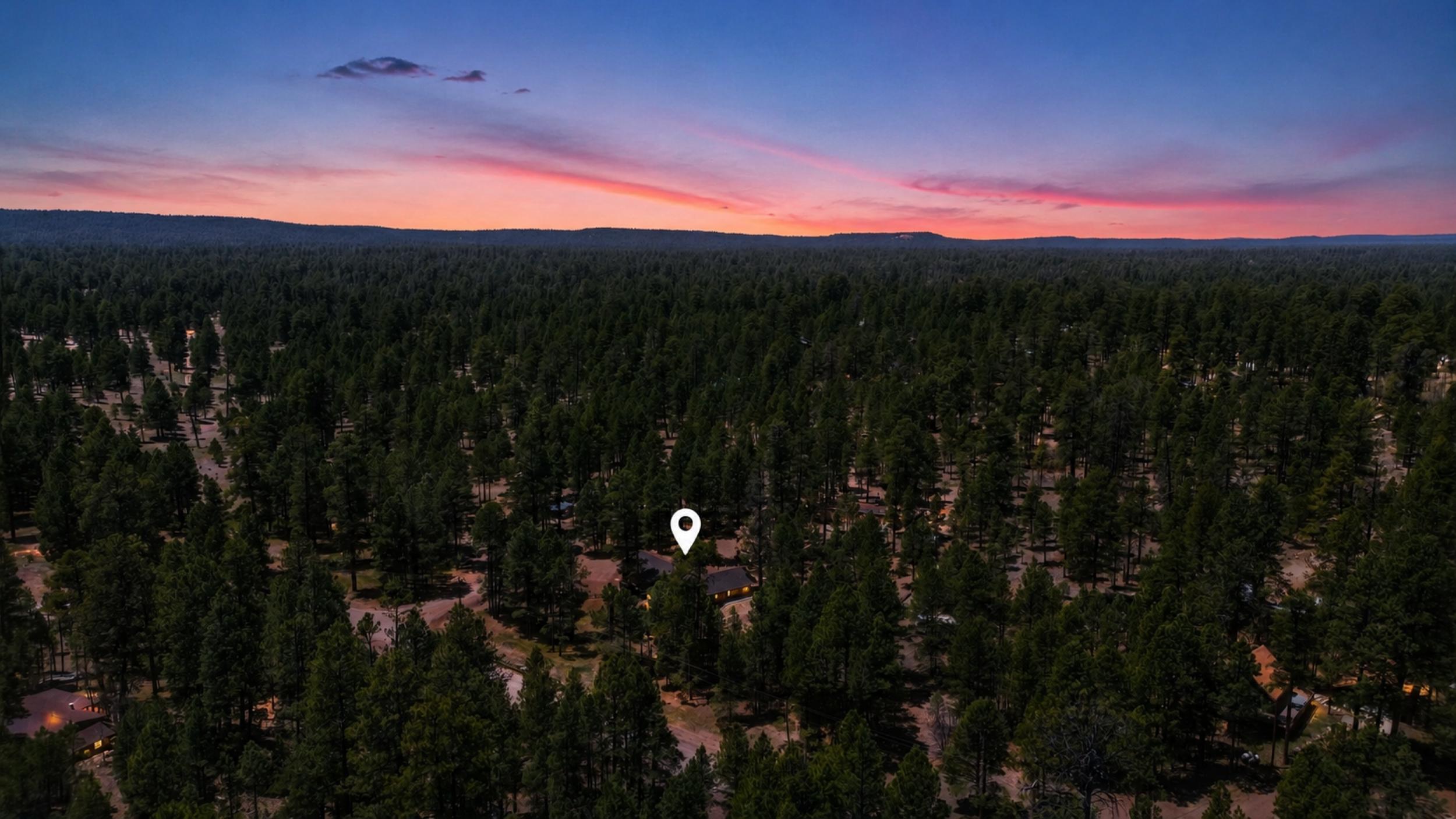 856 Coconino Loop Happy Jack, AZ 86024 - Photo 3 of 51