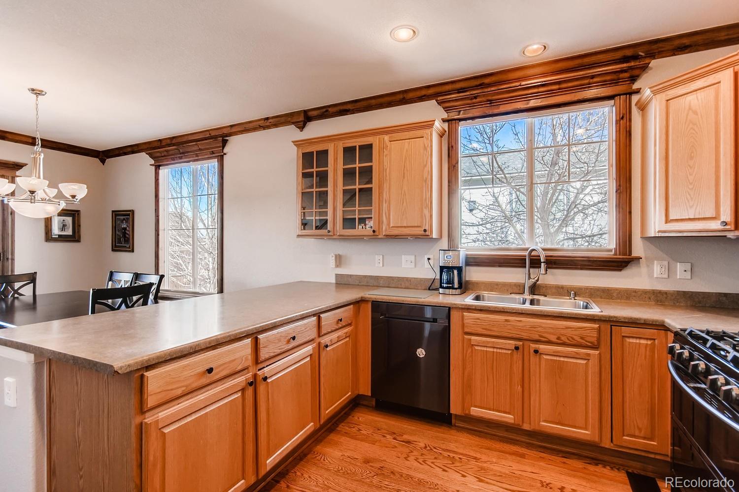 10891 Towerbridge Road Highlands Ranch, CO 80130 - Photo 12 of 28