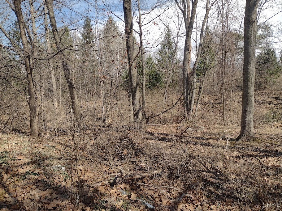 110 Pineview Terrace Ithaca Town, NY 14850 - Photo 23 of 26 Back yard View