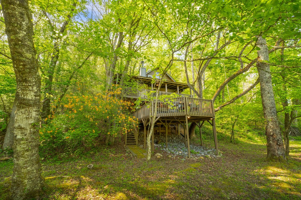 459 Mill Stone Mountain Lane Blue Ridge, GA 30513 - Photo 20 of 25 a view of a yard with plants and large trees