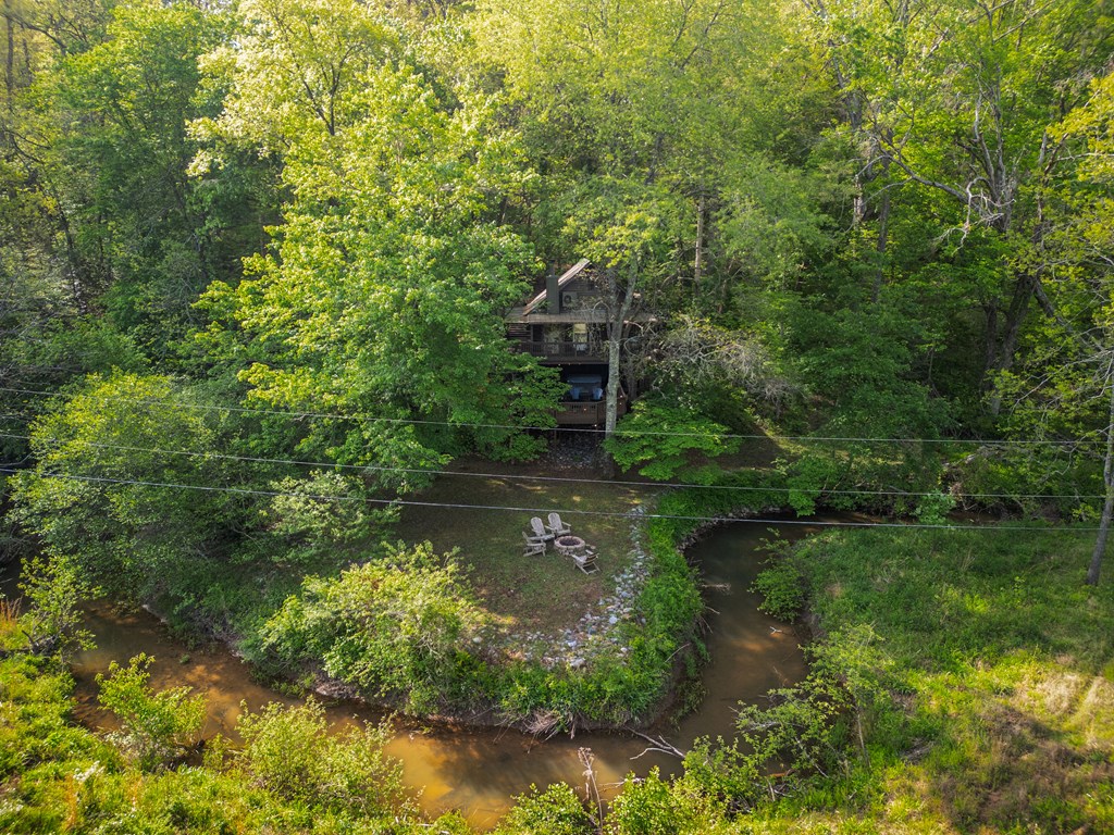 459 Mill Stone Mountain Lane Blue Ridge, GA 30513 - Photo 2 of 25 a view of lake with green space