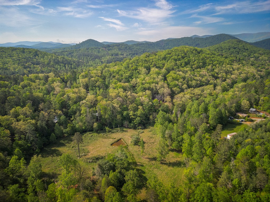 459 Mill Stone Mountain Lane Blue Ridge, GA 30513 - Photo 23 of 25 a view of a lush green forest with mountains in the background