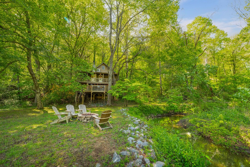 459 Mill Stone Mountain Lane Blue Ridge, GA 30513 - Photo 3 of 25 a view of a small yard