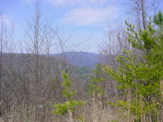 0 Johnson Creek Road Murphy, NC 28906 - Photo 1 of 1 Main View