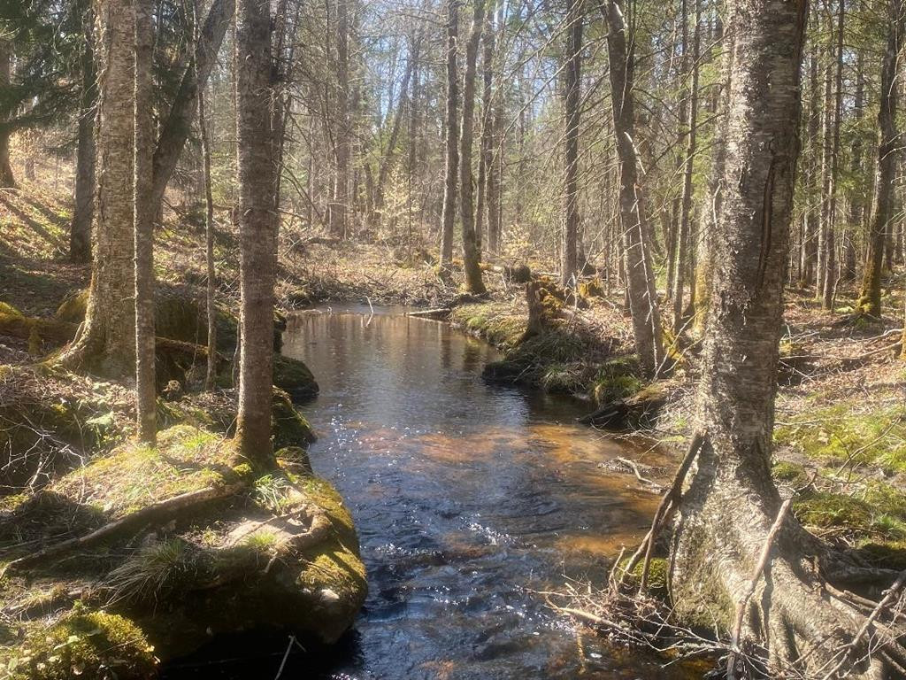 0 Chaisson Road Newcomb, NY 12852 - Photo 55 of 56 Gallery Image 55