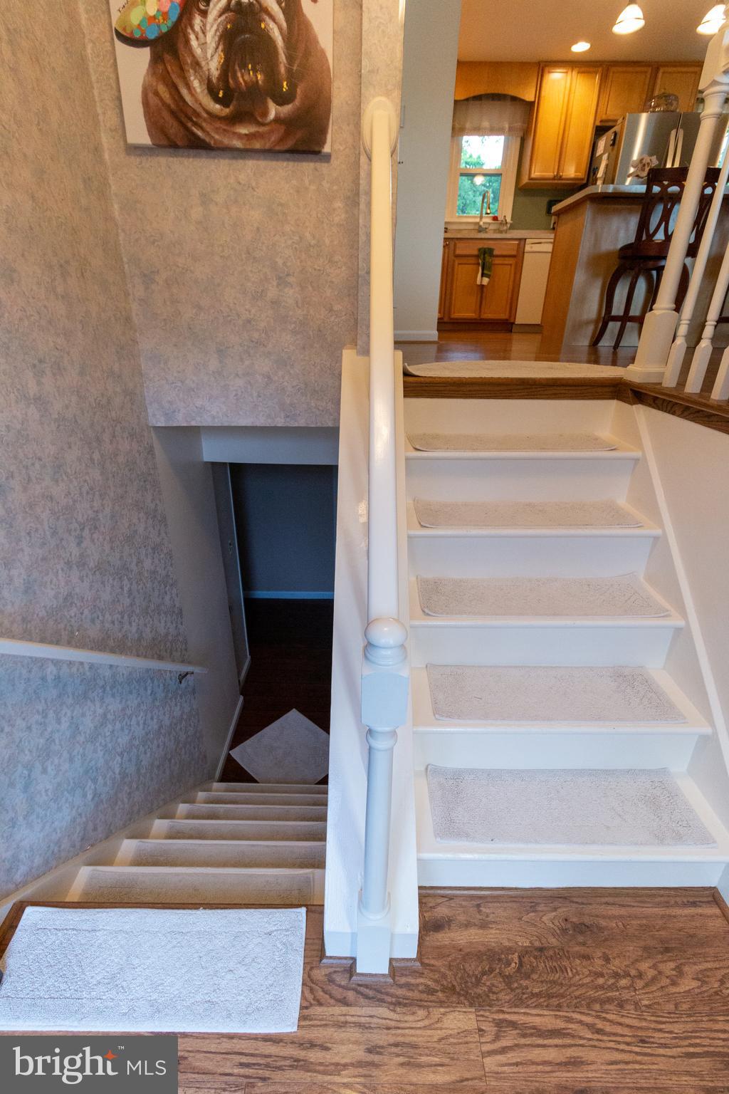 208 Homevale Road Reisterstown, MD 21136 - Photo 14 of 64 Foyer