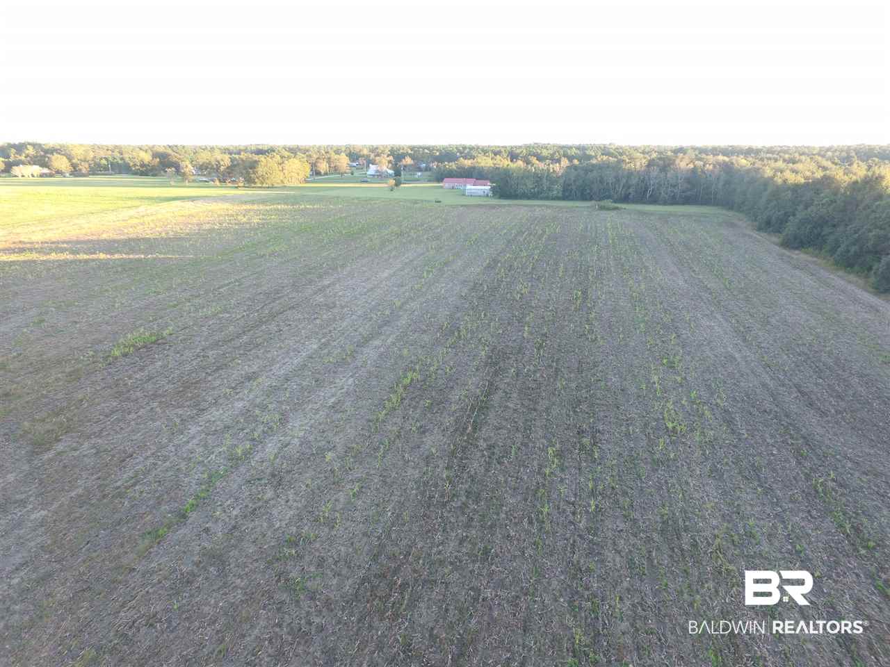 0 Carver Road Foley, AL 36535 - Photo 8 of 15