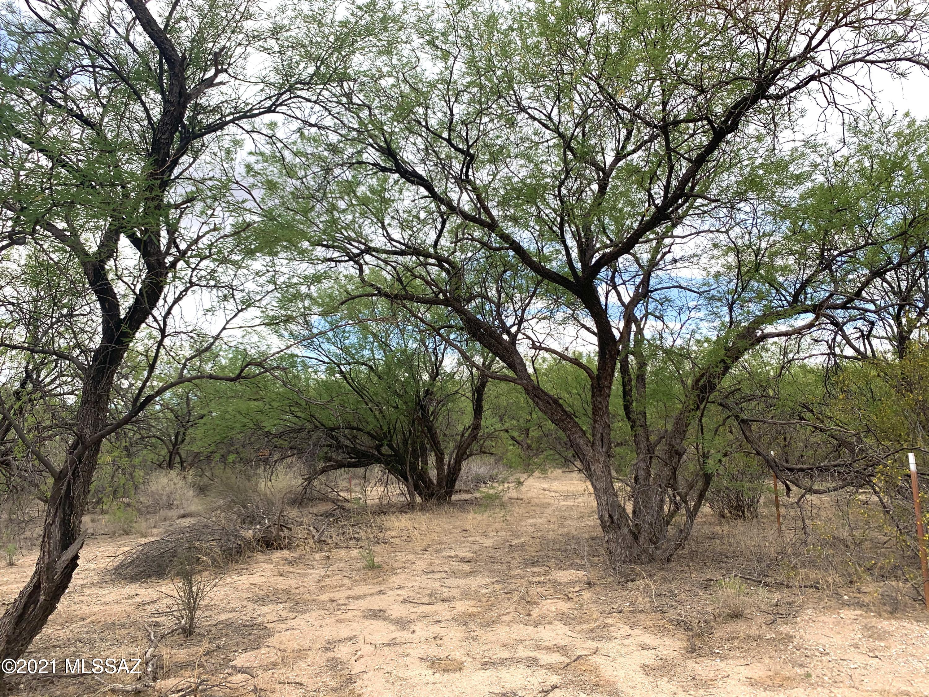 Tbd North Soldier Trail Tucson, AZ 85749 - Photo 4 of 13