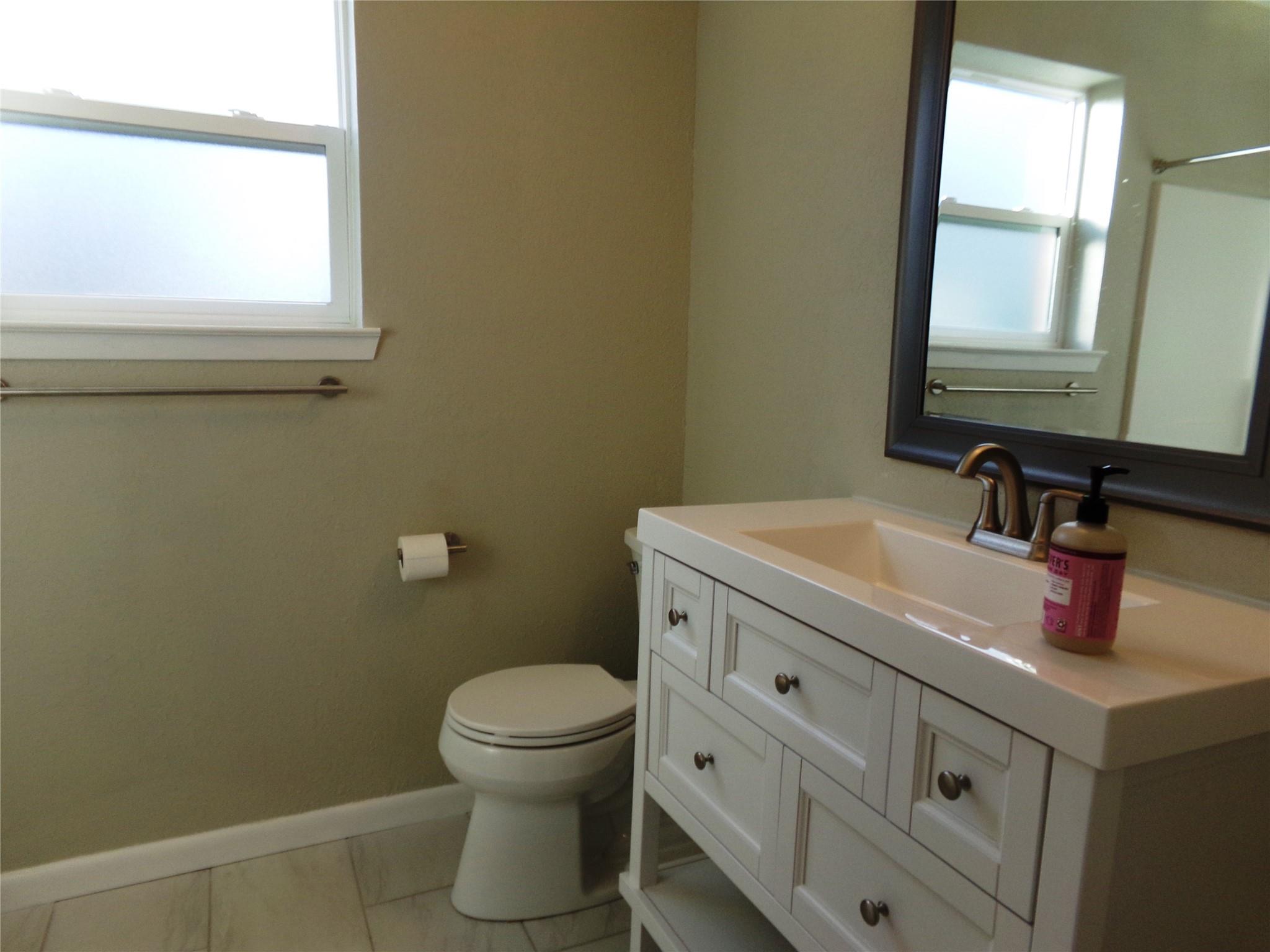 139 Farm To Market 696 Elgin, TX 78621 - Photo 15 of 27 Bathroom featuring vanity and healthy amount of natural light