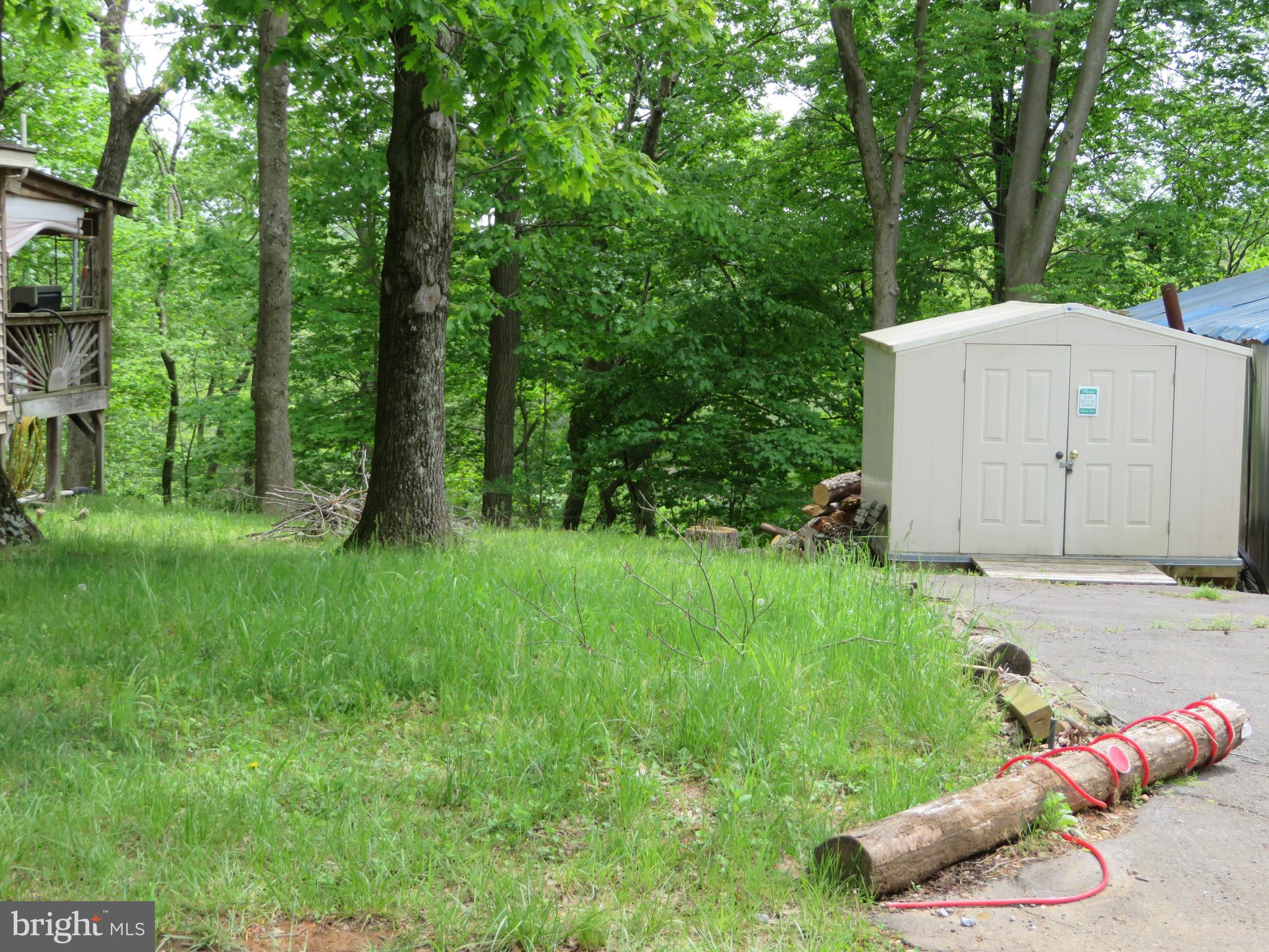 139-118 Boo Boo Boulevard Falling Waters, WV 25419 - Photo 12 of 19 Shed Included