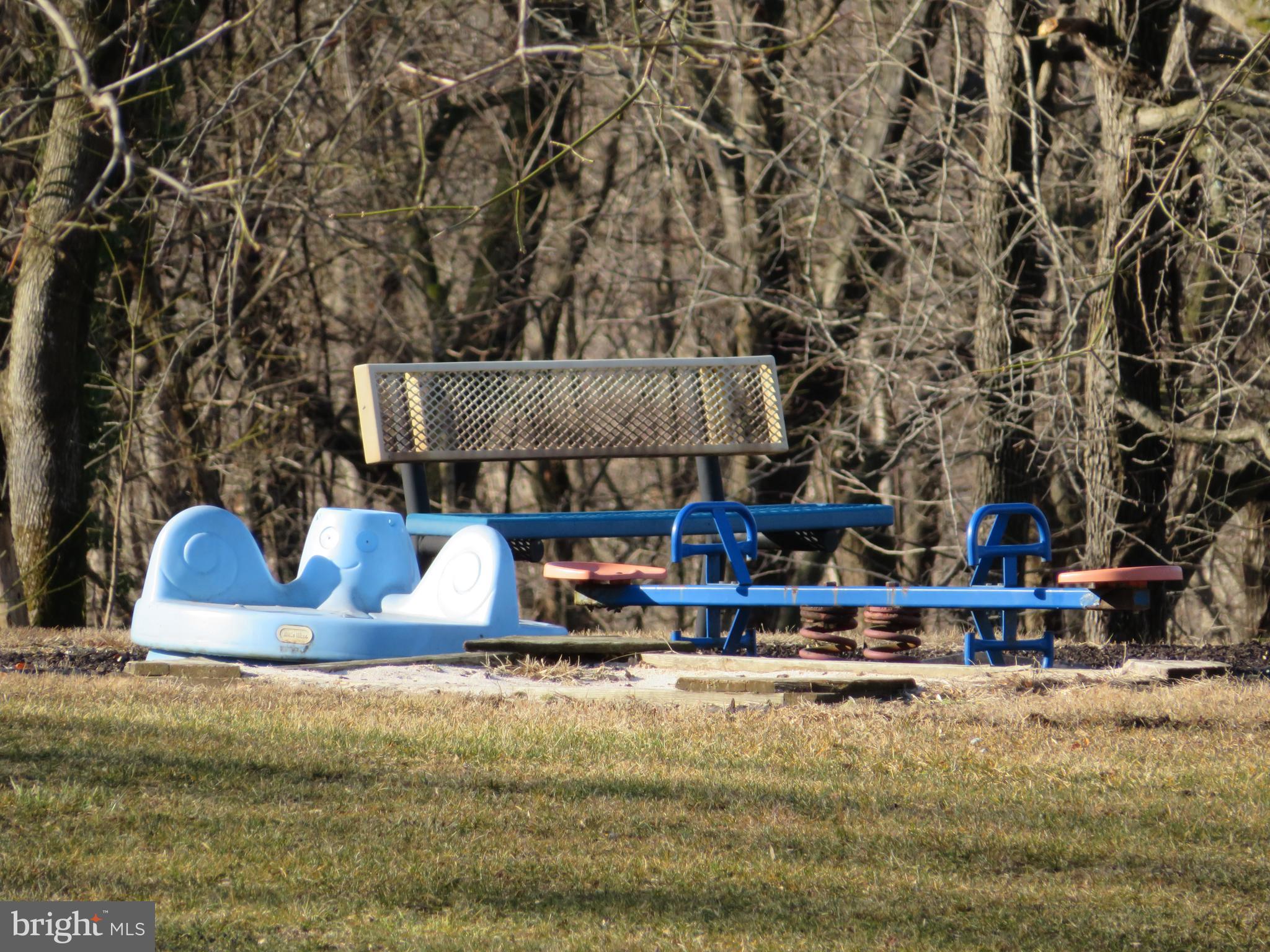 139-118 Boo Boo Boulevard Falling Waters, WV 25419 - Photo 14 of 19 Community Play Area