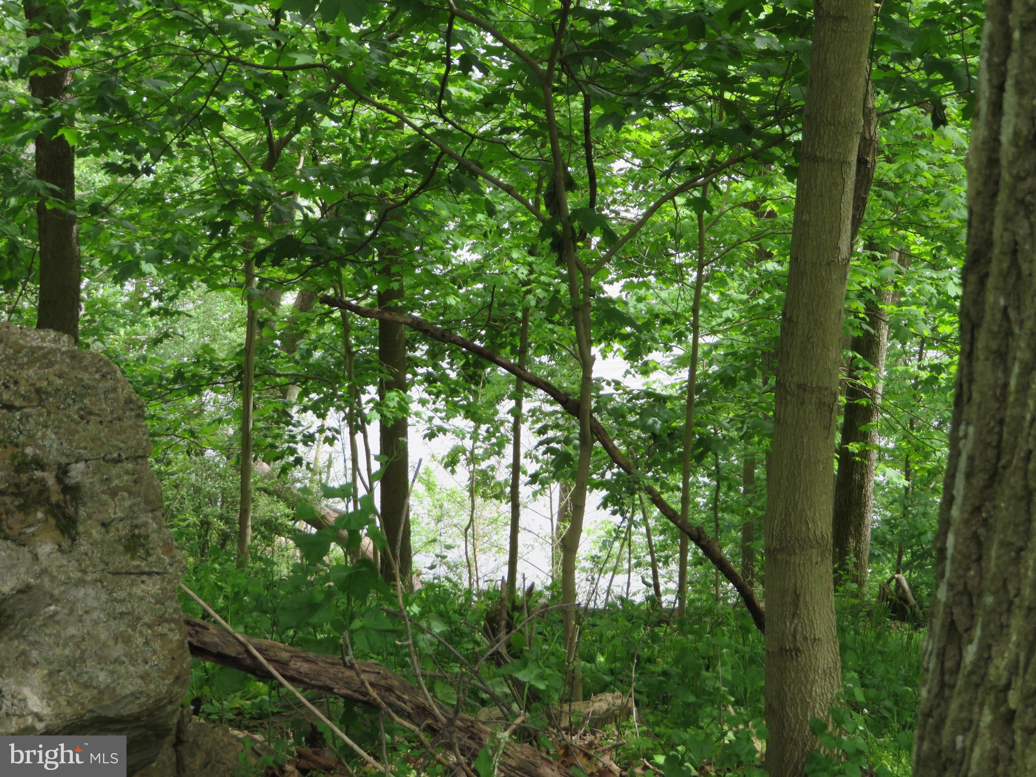 139-118 Boo Boo Boulevard Falling Waters, WV 25419 - Photo 2 of 19 View Of The Potomac River