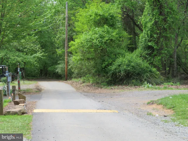 a view of a yard with plants