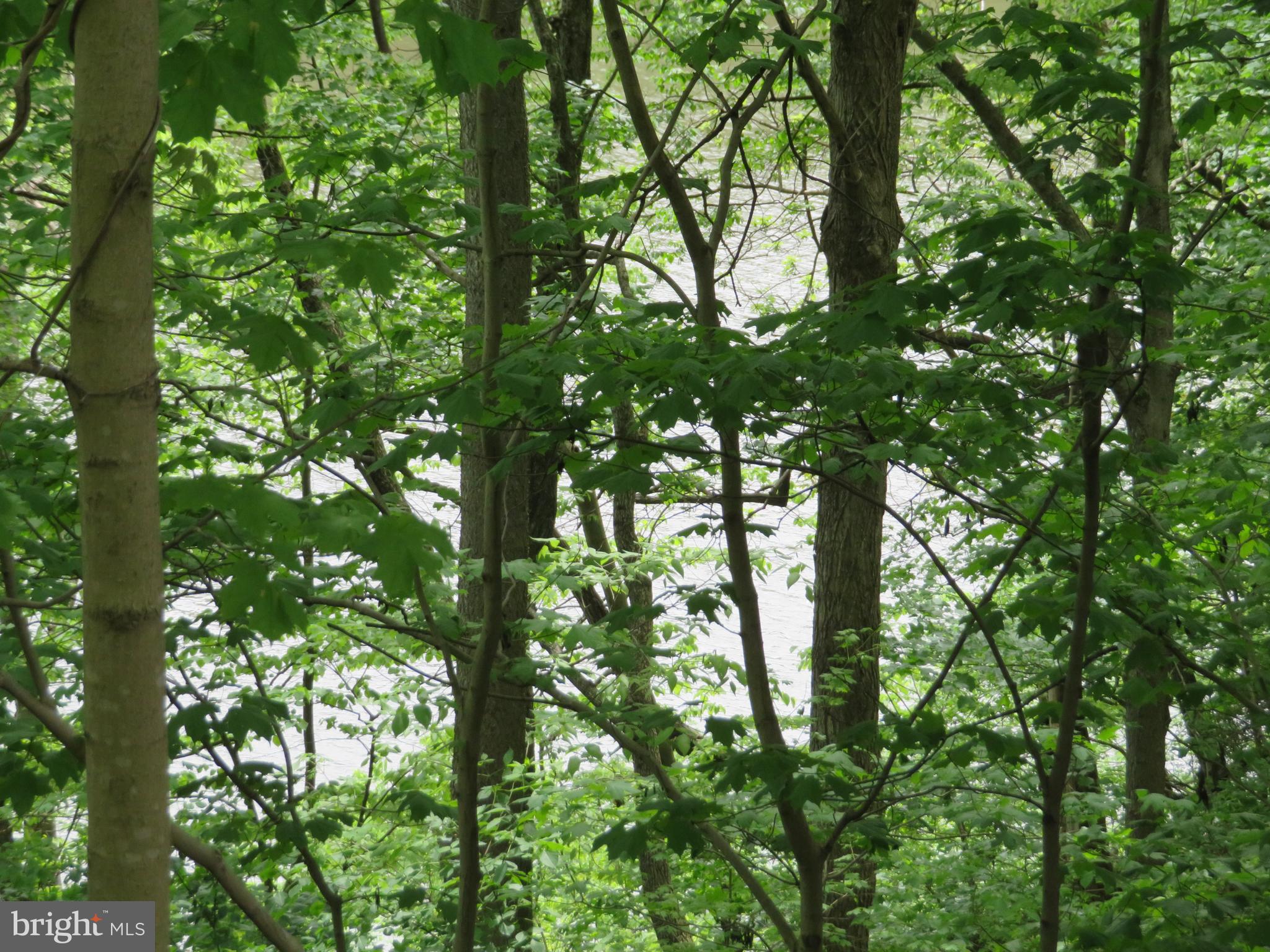139-118 Boo Boo Boulevard Falling Waters, WV 25419 - Photo 10 of 19 View Of The Potomac River