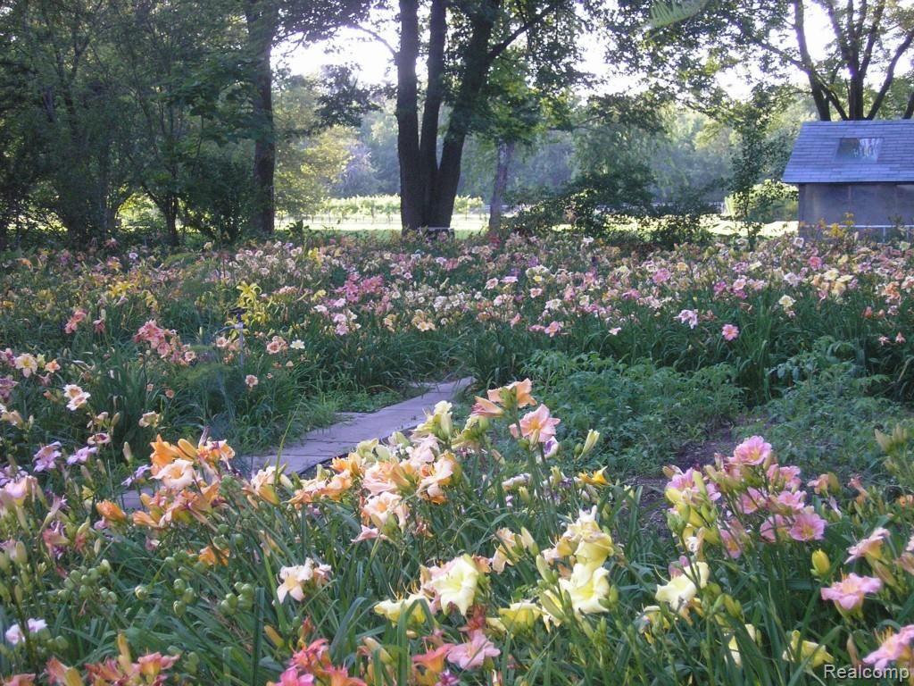 5343 Jamestown Road Utica, MI 48317 - Photo 16 of 16 Jul 2013 001.jpg