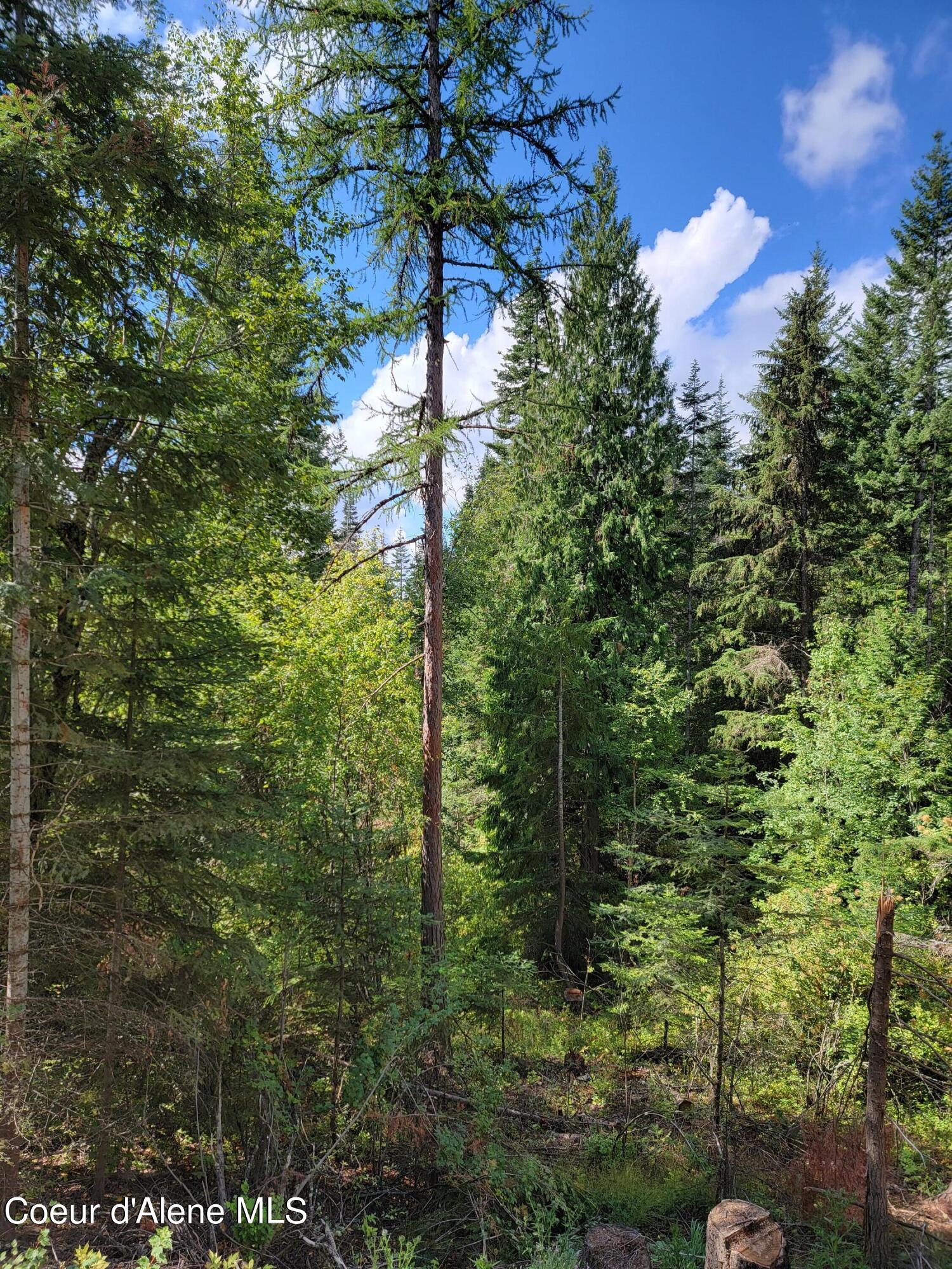 Parcel B East Lamb Road Harrison, ID 83833 - Photo 13 of 13 13