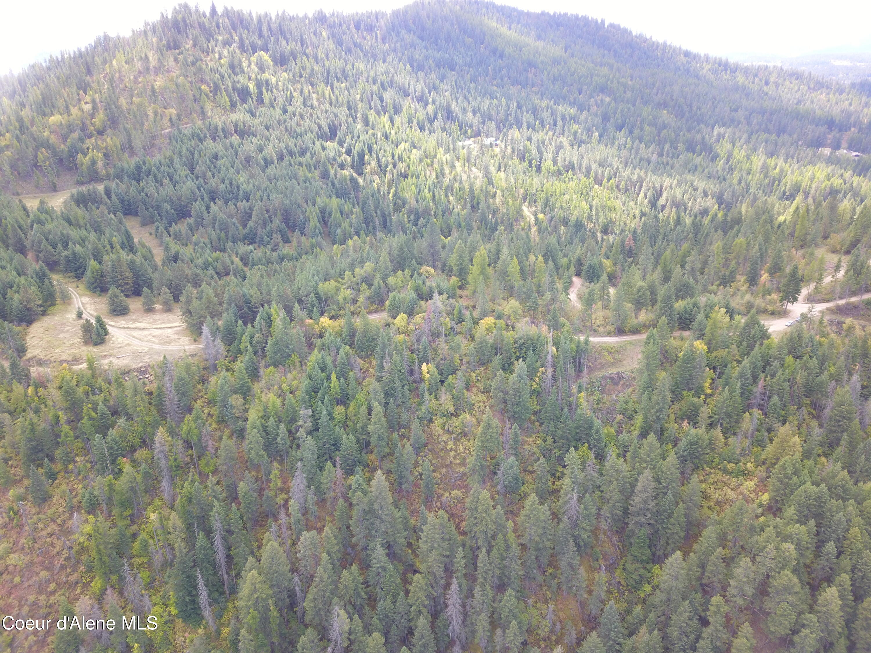 Parcel B East Lamb Road Harrison, ID 83833 - Photo 7 of 13 7