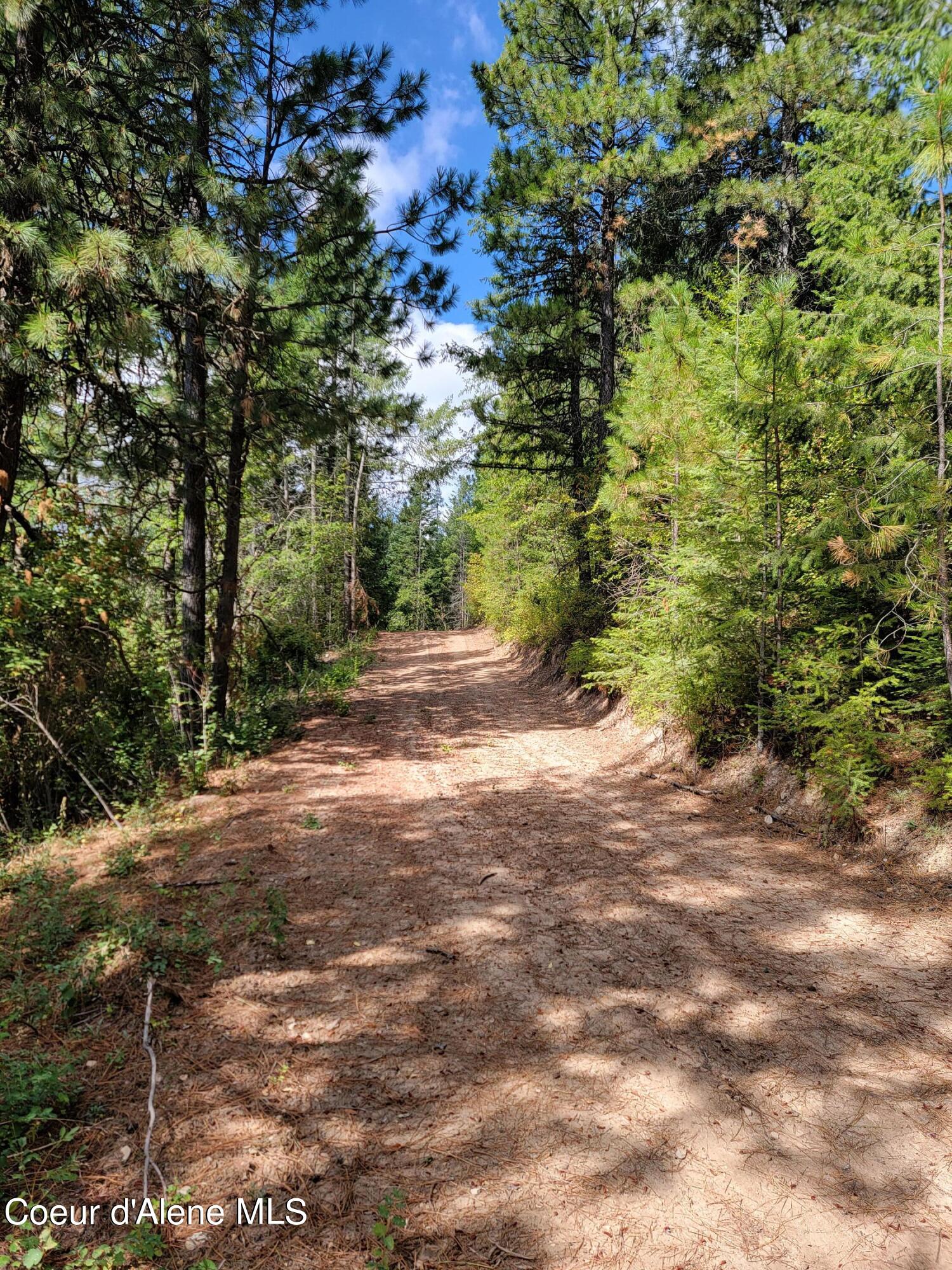 Parcel B East Lamb Road Harrison, ID 83833 - Photo 10 of 13 10