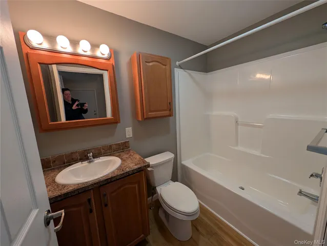 a bathroom with a sink a toilet and bathtub