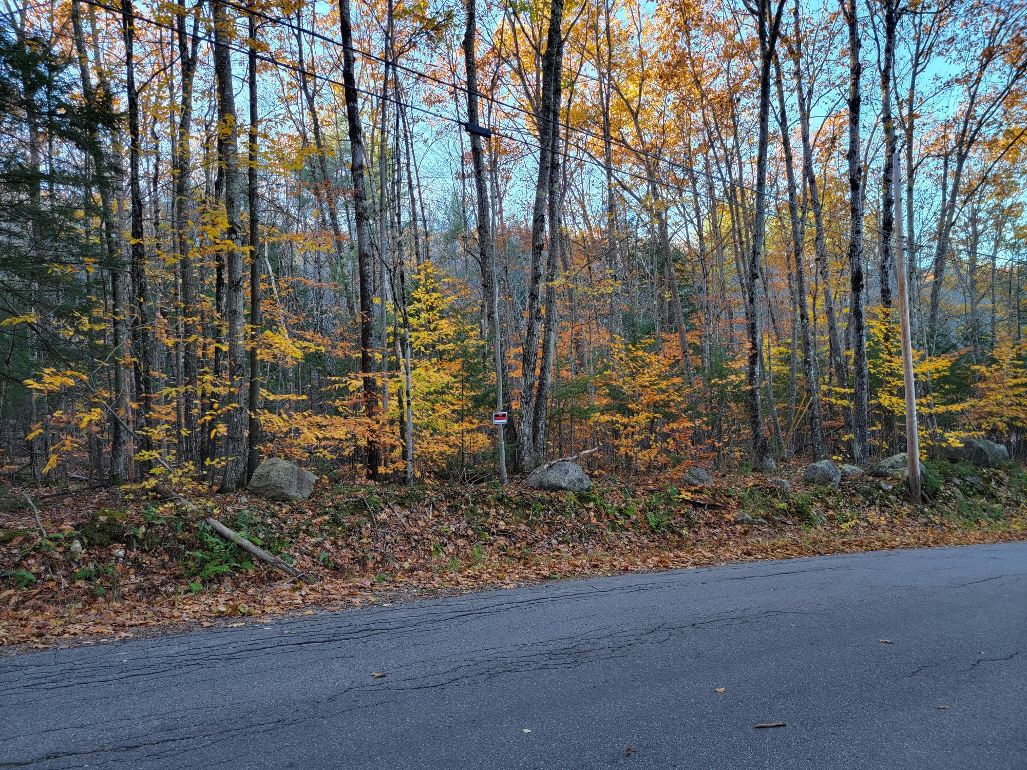 Lot B&c Quaker Ridge Road Greene, ME 04236 - Photo 1 of 10 20211101_162141