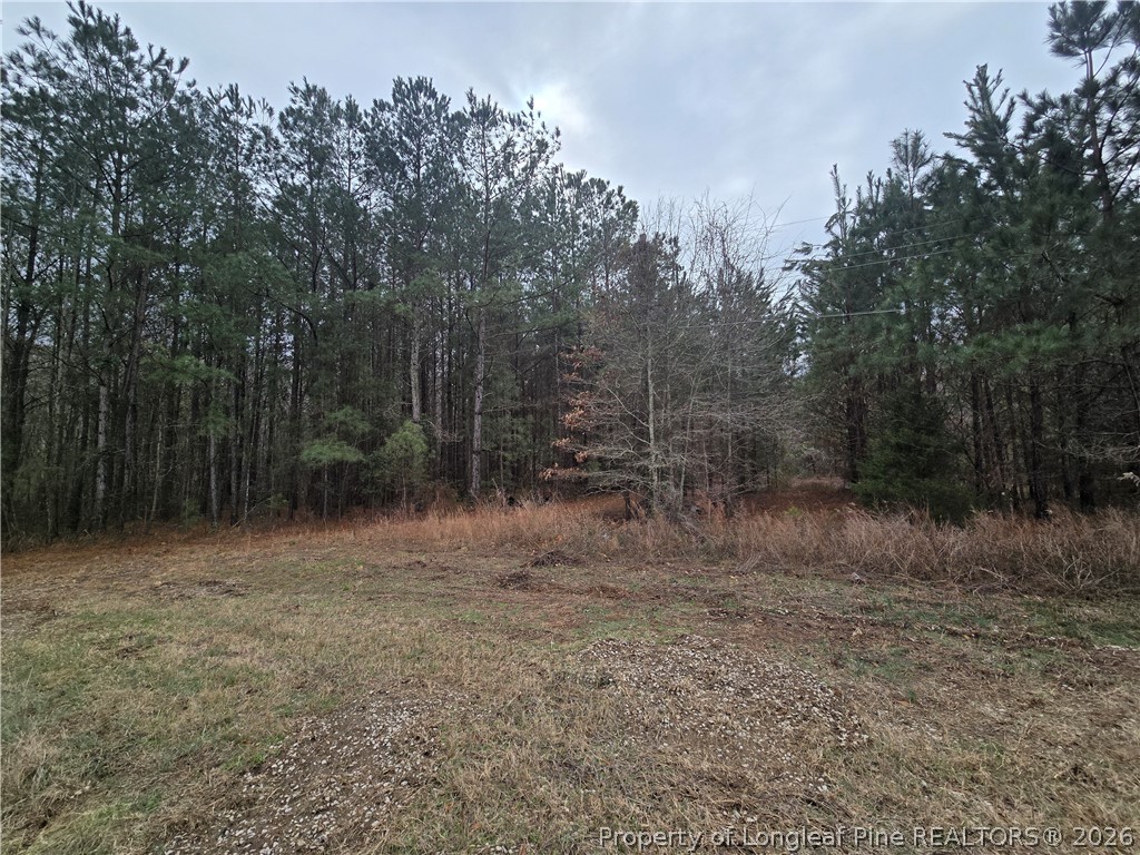 3162 Murphy Road Fayetteville, NC 28312 - Photo 3 of 6