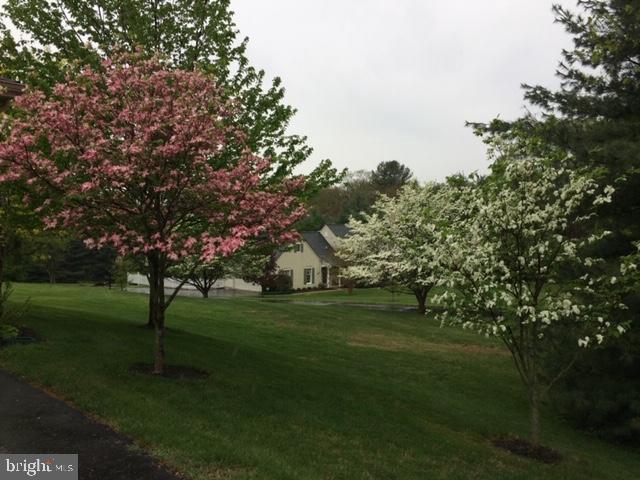 14320 Lewisdale Road Clarksburg, MD 20871 - Photo 45 of 50 Gallery Image 45