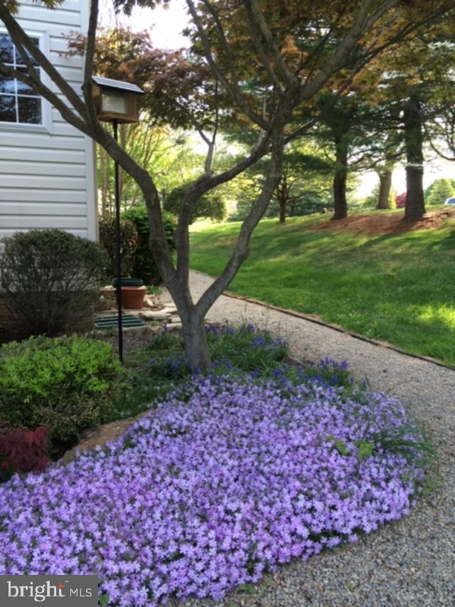 14320 Lewisdale Road Clarksburg, MD 20871 - Photo 48 of 50 Gallery Image 48