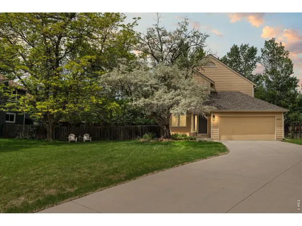a backyard of a house with plants and large tree