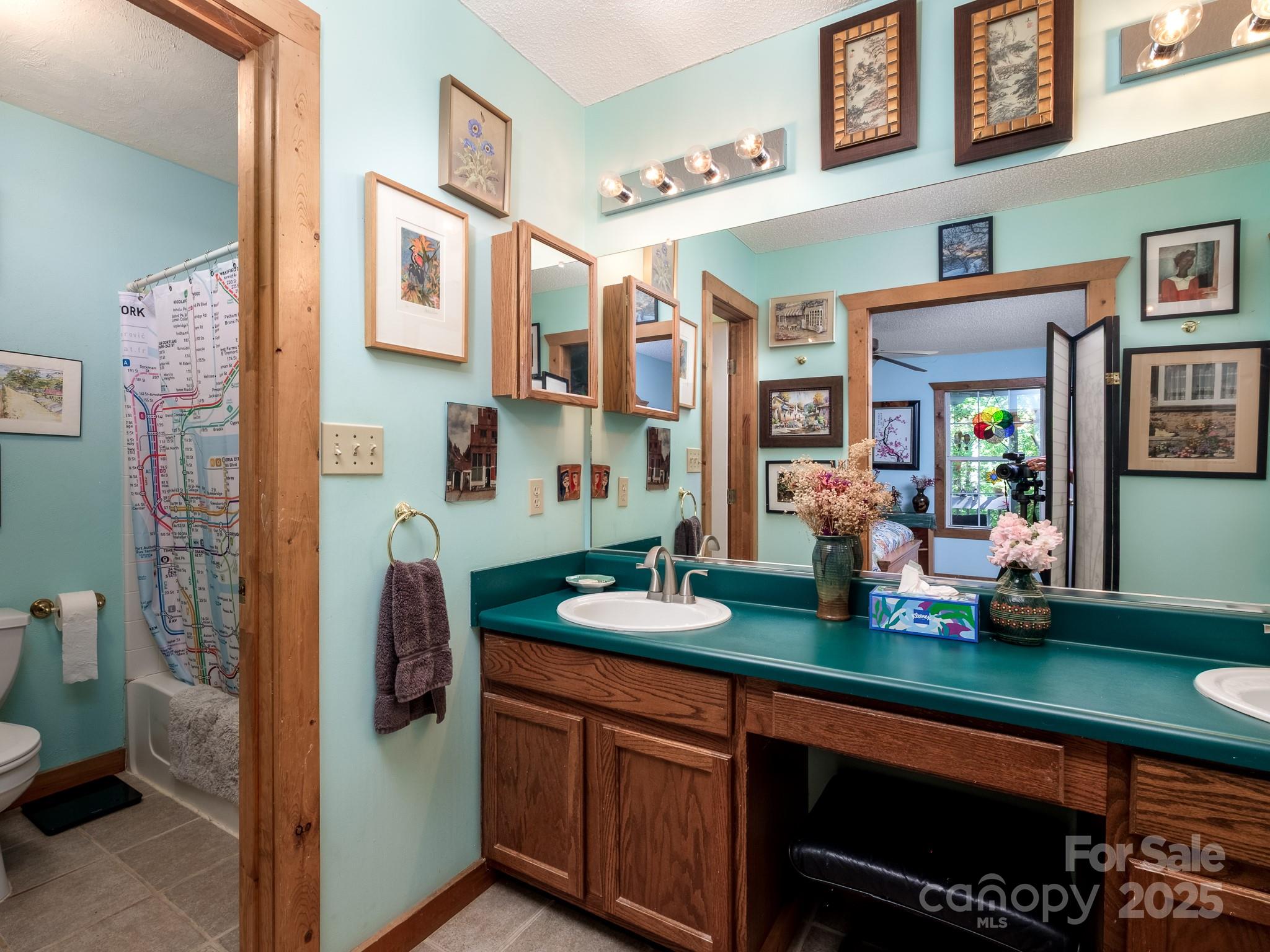 180 Blossom Road Brevard, NC 28712 - Photo 20 of 28