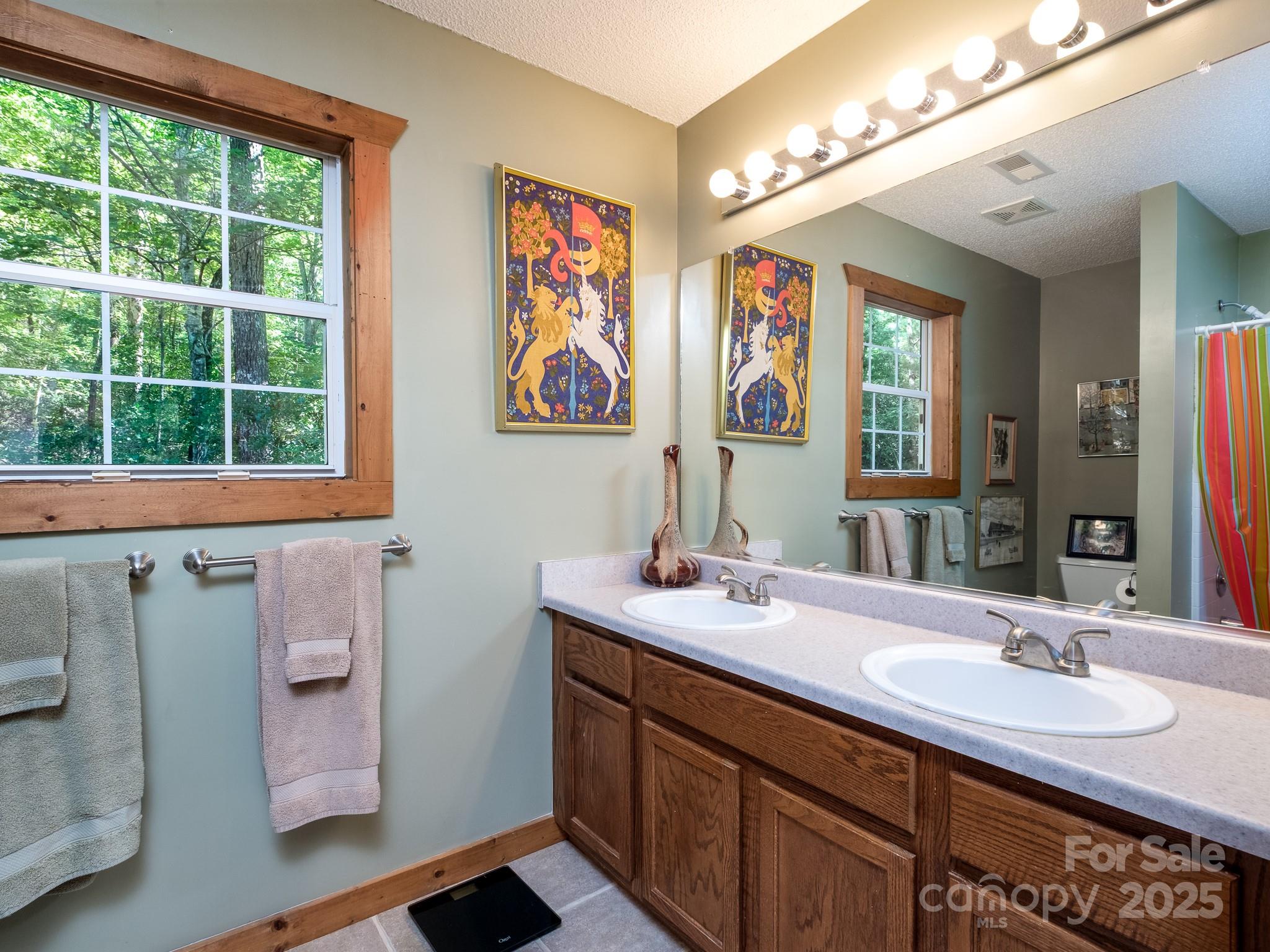 180 Blossom Road Brevard, NC 28712 - Photo 22 of 28