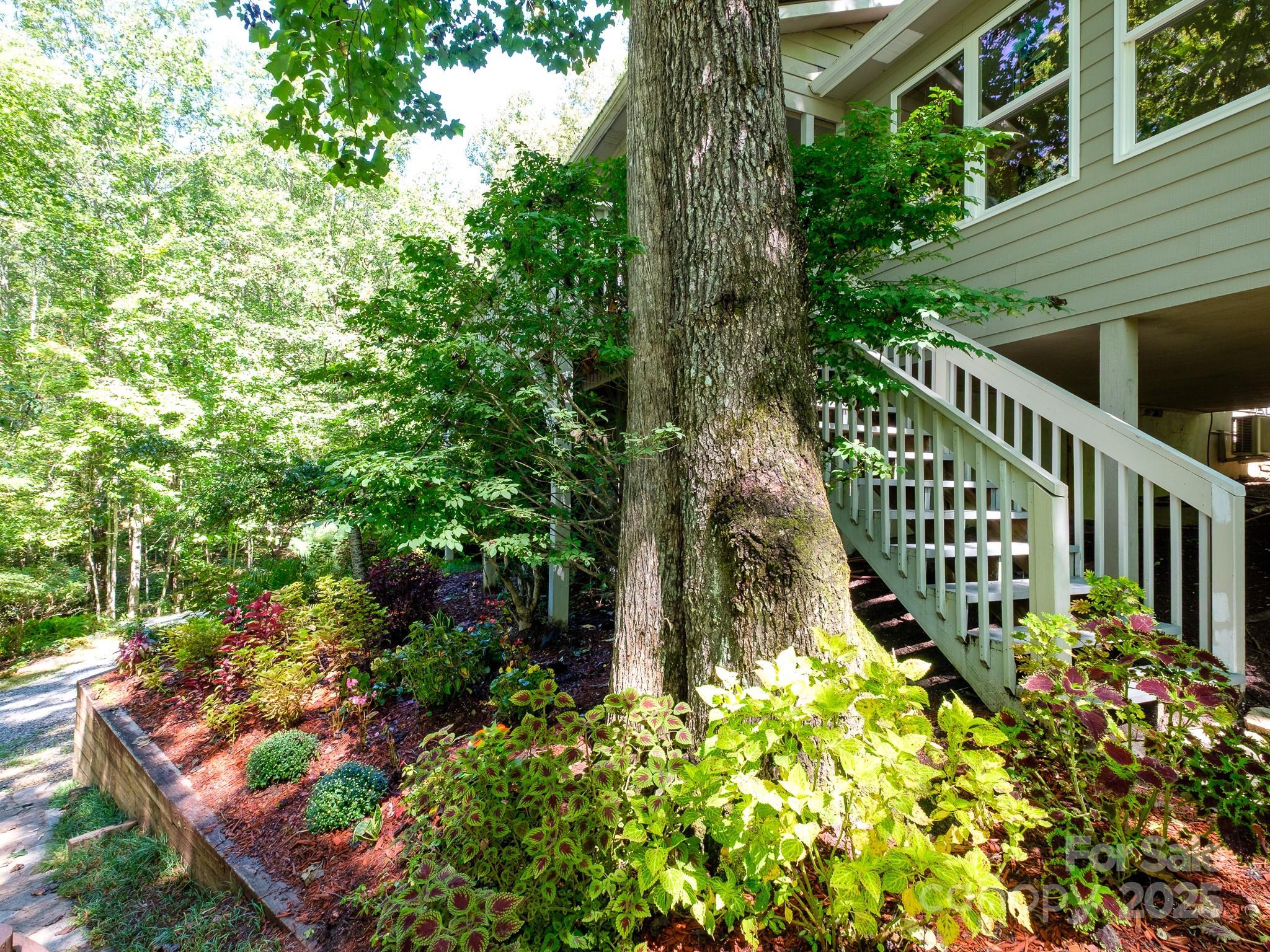 180 Blossom Road Brevard, NC 28712 - Photo 4 of 28